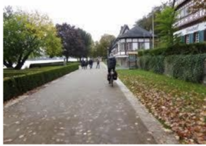 This is a Path Behind the Castle Along the Rhine